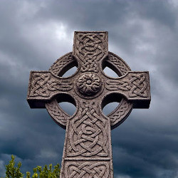 Cruz