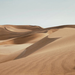 Desierto